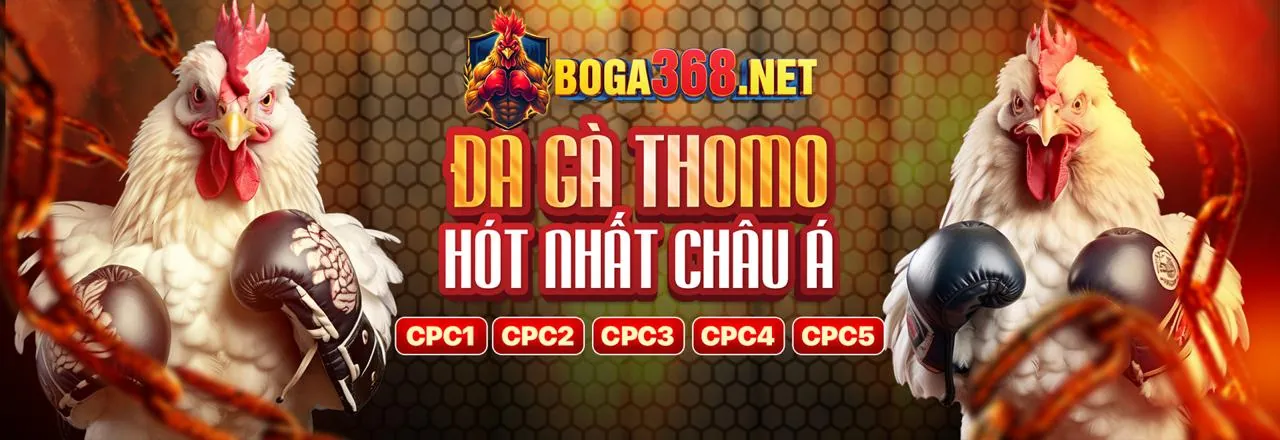 Câu lạc bộ VIP lotte92 với các đặc quyền độc quyền