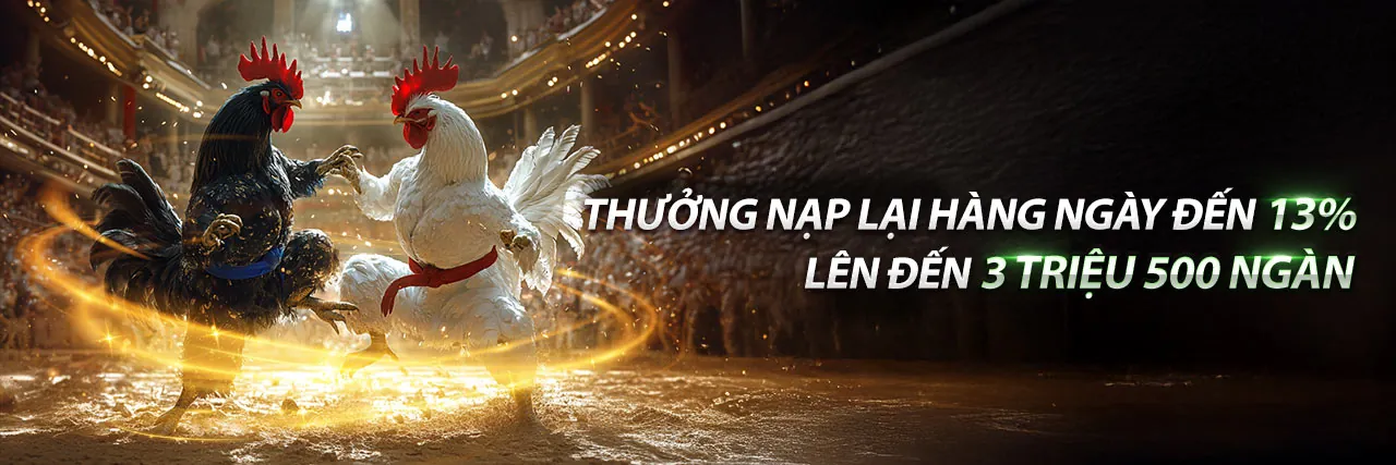 Đá Gà Trực Tuyến Lotte92 - Sân Chơi Hấp Dẫn